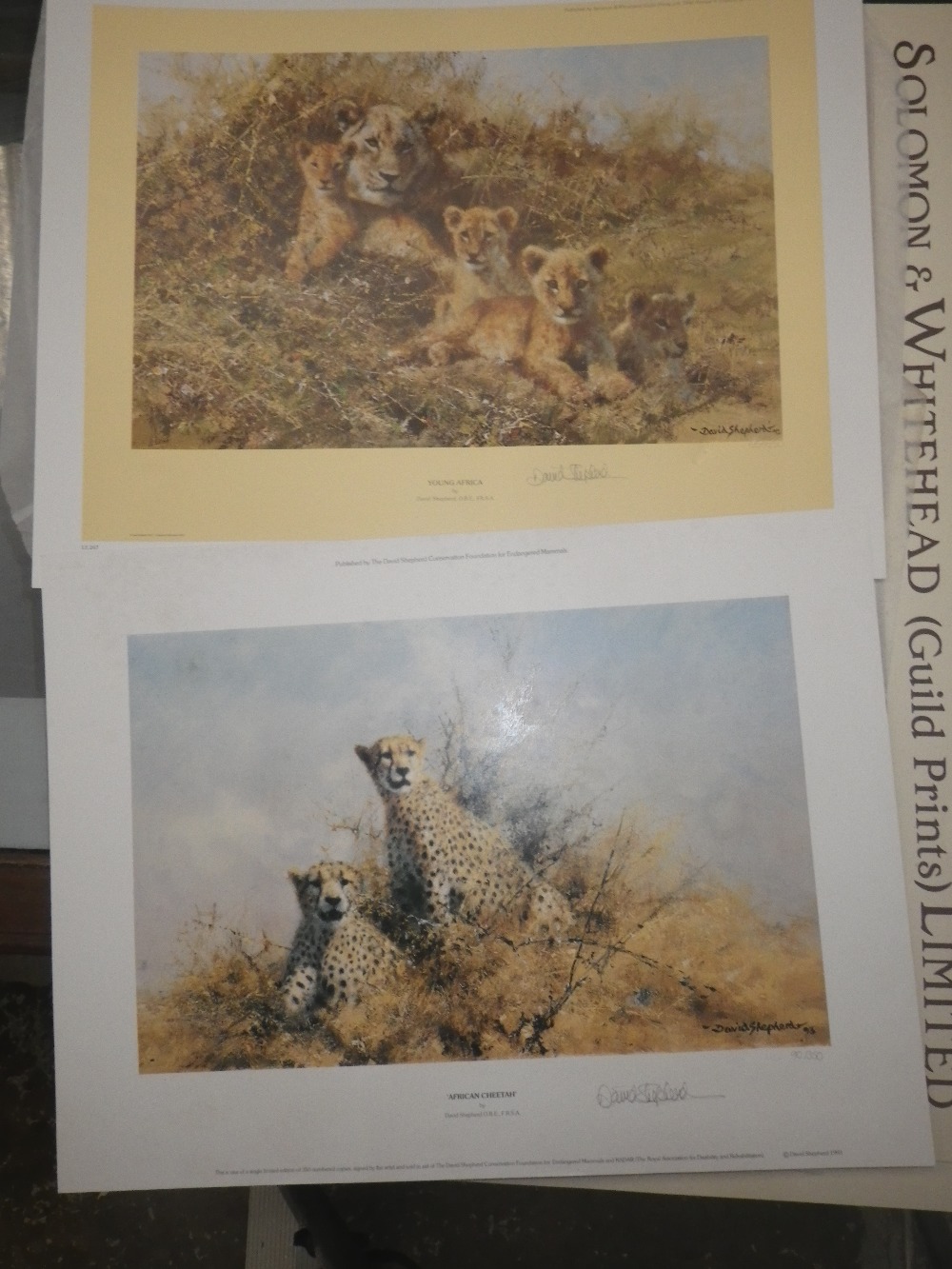 After David Shepherd: A signed limited edition print `Young Africa`, no. 657/850 and another similar