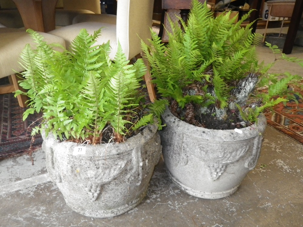A pair of reconstituted stone garden planters, containing ferns