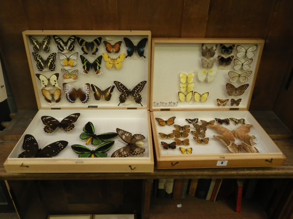 Lepidoptera: A collection of preserved butterflies and moths in two wooden boxes, including `