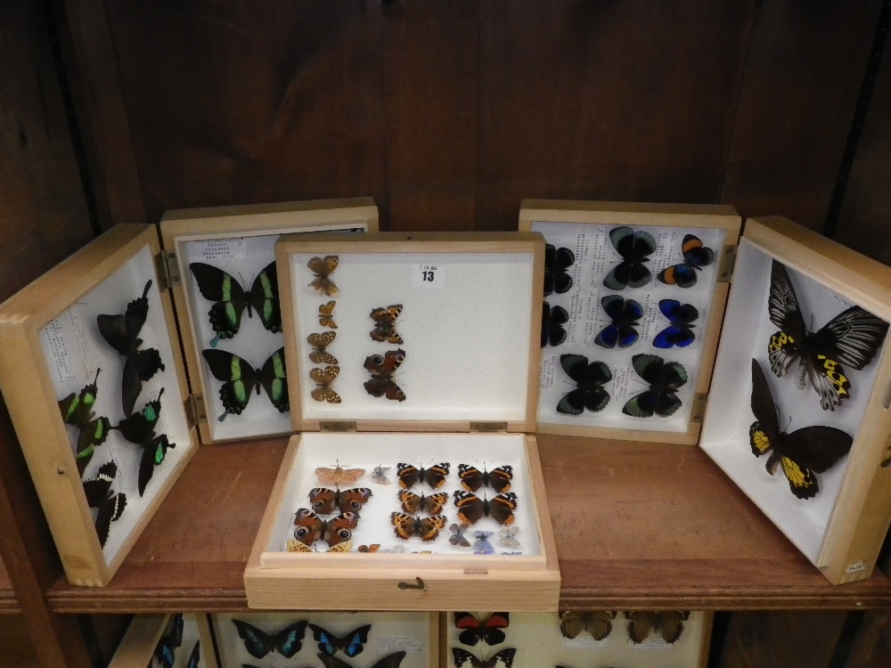 Lepidoptera: `Agrias Beata` and `Troides Hypolitus` and various other butterflies contained in three