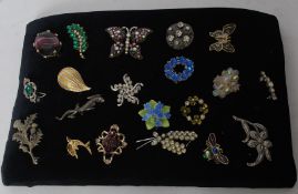 20 costume jewellery brooches on display board, including spider, insect, Scottish thistle and many