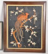 A Chinese golden pheasant embroidered needlepoint on black silk, being framed and glazed. 56cm x