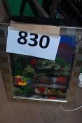 A retro inspired decorative floating fish plastic wall hanging fish tank.