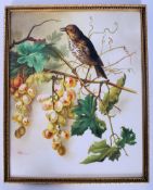 An oil on porcelain of a songbird (thrush) signed by A.Williams.