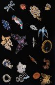 20 antique and later brooches to include enamel, glass, parrot, butterfly etc.