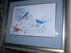 Teresa Politowicz (20th century) lithograph print titled ` Natures Duet ` together with a Wei Tseng