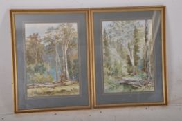 Colonel George Strahan, RE (British, d. circa 1913) A pair of watercolours depicting silver birch