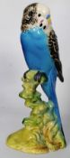 A Beswick figure of a budgerigar, in blue, facing left, impressed numeral 1216. Measures 18cms High