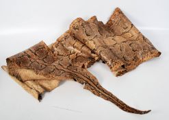 A large 20th century snakeskin wall hanging (taxidermy skin) approximately 10 - 11 feet long.