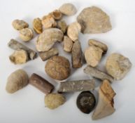 A collection of fossils to include a sharks tooth, clay pipes, sea urchin etc.