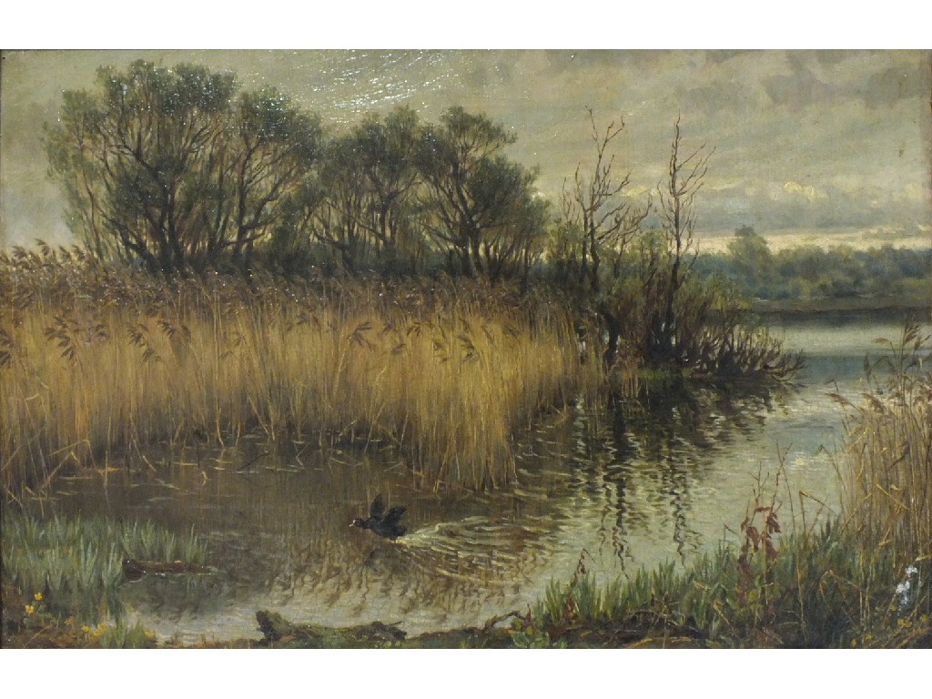 A C Duvall? 19th century DUCKS ON A RIVER WITH MOUNTAINOUS LANDSCAPE BEHIND Oil on canvas, signed,