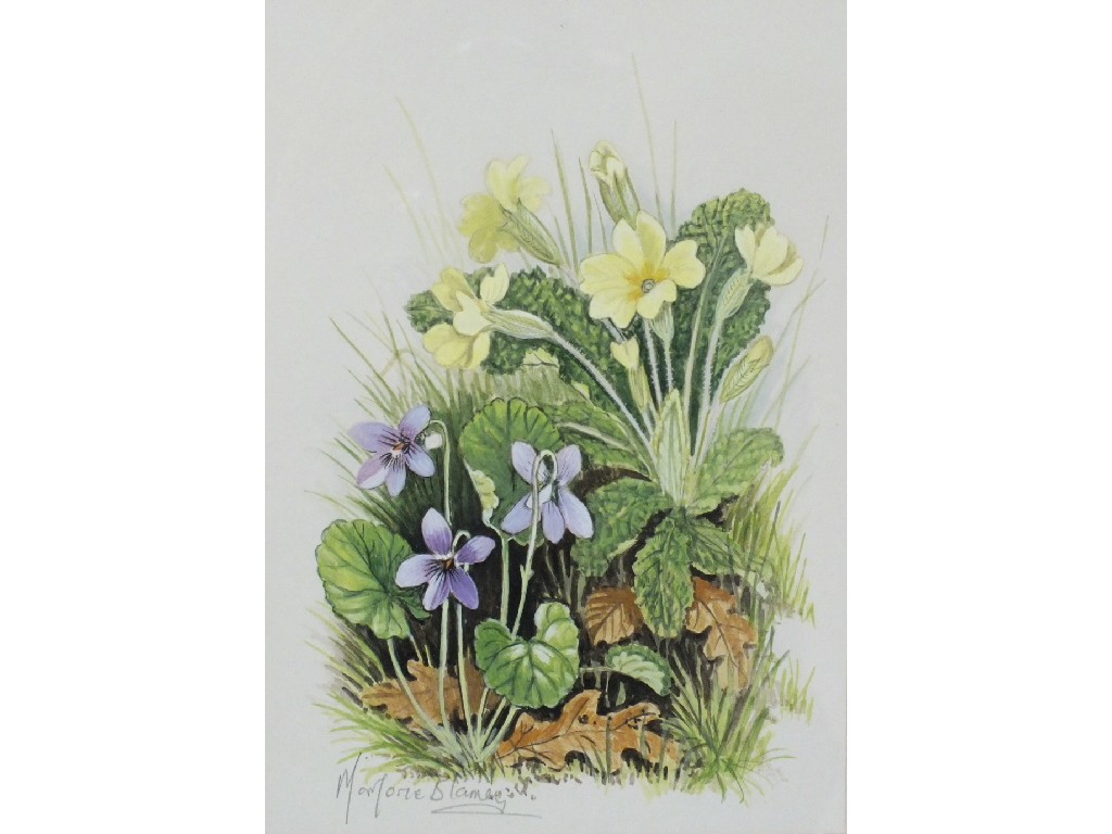 Marjorie Blamey, a group of four seasonal studies of flowers, insects and berries, watercolours,