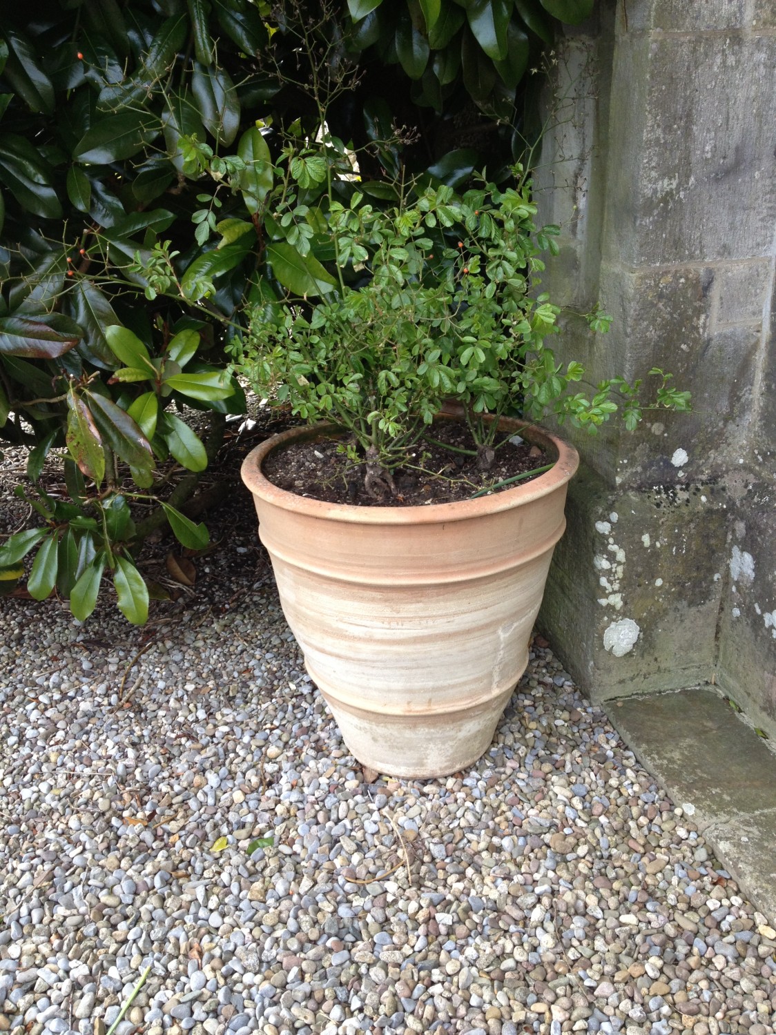 A pair of large terracotta Garden Planters. (2)