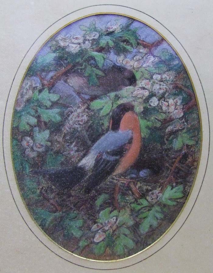 English School, Studies of Birds on Branches, pencil and pastel, oval 26 x 20cm (10 1/4 x 7 3/4in.),