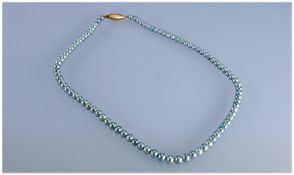 A Vintage Strand Of Tinted Blue Cultured Pearls, with 9ct gold clasp. 15 inches in length.