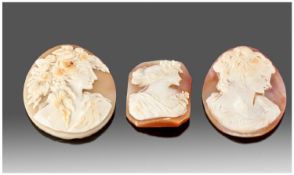 Victorian Good Quality Shell Cameos, 3 in total. With images of a young woman in classical dress.