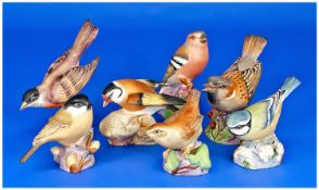 Collection of Seven Royal Worcester Bird Figures comprising  Sparrow, Marsh Tit, Blue Tit,