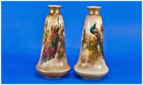 Royal Worcester Fine Pair Of Hand Painted Vases. Peacock and peahen woodland setting. Signed
