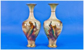 Royal Worcester Very Fine Hand Painted Signed Pair of Vases. Subject Peacock and Peahen in a