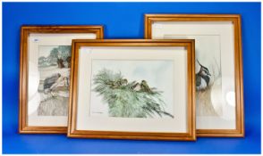 Massey Three Watercolour Drawings Of Birds In Their Natural Settings. Signed R.A. Massey. Depicting
