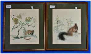 Pair of Signed Limited Edition Prints, one depicting a squirrel the other showing a further rodent