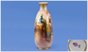 Royal Worcester Hand Painted Vase. ``Peacock and Peahen in woodland setting``. Signed Sedgley, date