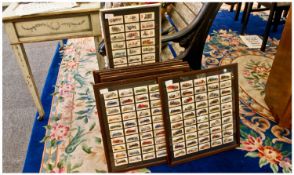 Collection of Framed Cigarette Cards including Players, Wills, Brook Bond , Lambert and Butler.