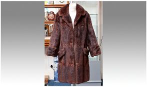 Dark Red/Brown Musquash Three Quarter Coat, self lined collar with rounded revers, slanted pockets