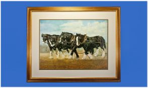 R.P. Reynolds. Large Coloured Print of Four Shire Horses Pulling a Plough. In gilt frame. Dated