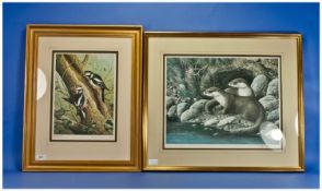 Two Ralph Waterhouse Limited Edition Prints, one of a pair of otters on the river bank, blind