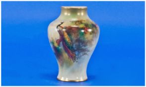 Royal Worcester Fine Hand Painted and Signed Small Vase by F.J.Bray. Date 1912. Peacock in a
