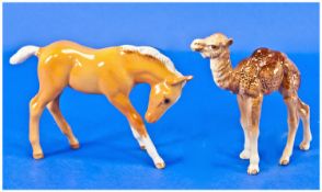 Beswick Animal Figures, 2 In Total. 1, `Camel` foal, brown, model number 1043, issued 1944-1971,