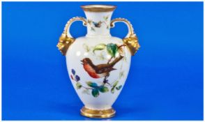 Royal Crown Derby Two Mask Handled Vase. Circa 1880`s. Robin on a branch, white ground, gold