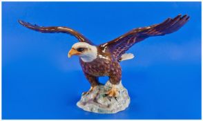 Beswick Bird Figure ``Bald Eagle``. Gloss. Model number 1018. Designer Arthur Gredington. Height 7.