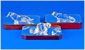 Swarovski Silver Crystal Marine Figures, 3 In Total. 1, Mother Beaver, number 164637, designer Adi