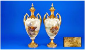 Royal Worcester Very Fine Pair Of Hand Painted Two Handled Urn Shaped Vases. `Highland Cattle in