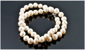 A White Cultured Single Strand Akoya Pearl Necklace. 18`` in length.