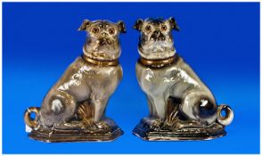 Staffordshire Pair Of Rare `Black` Beauties, plus dog figures. Circa 1880. Glass eyes. Each 12.25``