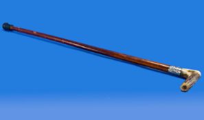 Victorian Silver Banded and Bone Handled Walking Stick. Hallmark Birmingham 1895. 35 inches in