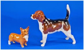 Beswick Dog Figures, 2 in total. 1). ``Beagle Wendover Billy``, model number 1933A, height 5.5