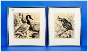 Two Pen and Ink Sketches, by JR Galts, one of a robin, the other of a duck, both framed, largest
