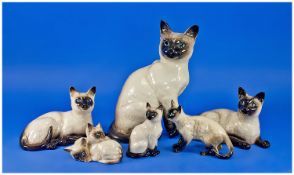 Beswick Collection Of Siamese Cat Figures, 6 figures in total, 1. Siamese Kittens, model number