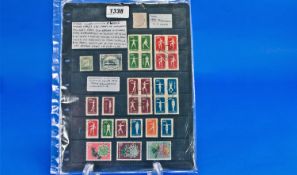 Stamps. China Col`n on 6 Large Hanger Leaves. 170 stamps no duplicates, includes 1885 3ca Dragon V-