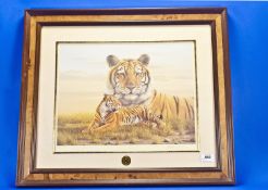 A Fine Art Print by Rob McIntosh `Tigers` (approved by him and by the Smithsonian Institution) and