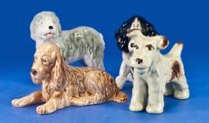 Sylvac Pottery Dog Figures comprising Border Collier, Terrier, `Dulux` dog and Golden Retriever (4)