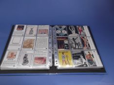 266 x Playboy Cover Trading Cards in Albums