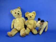Two Golden Plush Teady Bears, circa 1935, both with articulating heads and limbs, both with amber