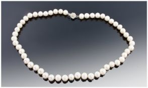 White Akoya Pearl Necklace, Length 17 Inches.