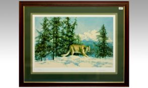 David Shepherd Limited Edition Signed Coloured Print. Titled `Mountain Lion` signed lower right in