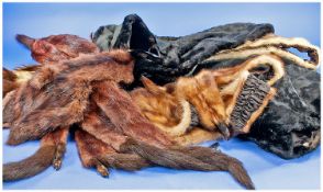 Weasel Fur Tippet showing ten skins with feet and tails, 2 with heads plus various pelt and tail